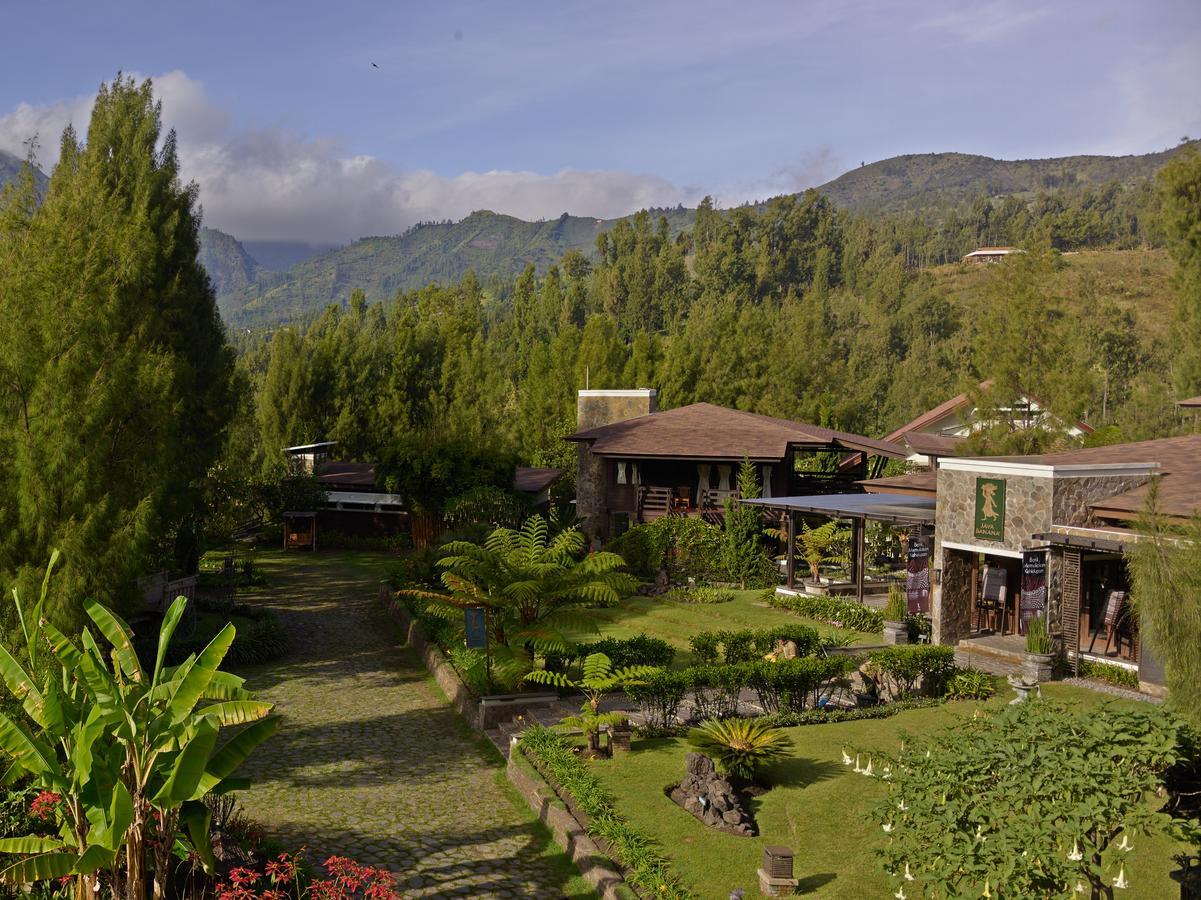 Jiwa Jawa Resort Bromo Zewnętrze zdjęcie